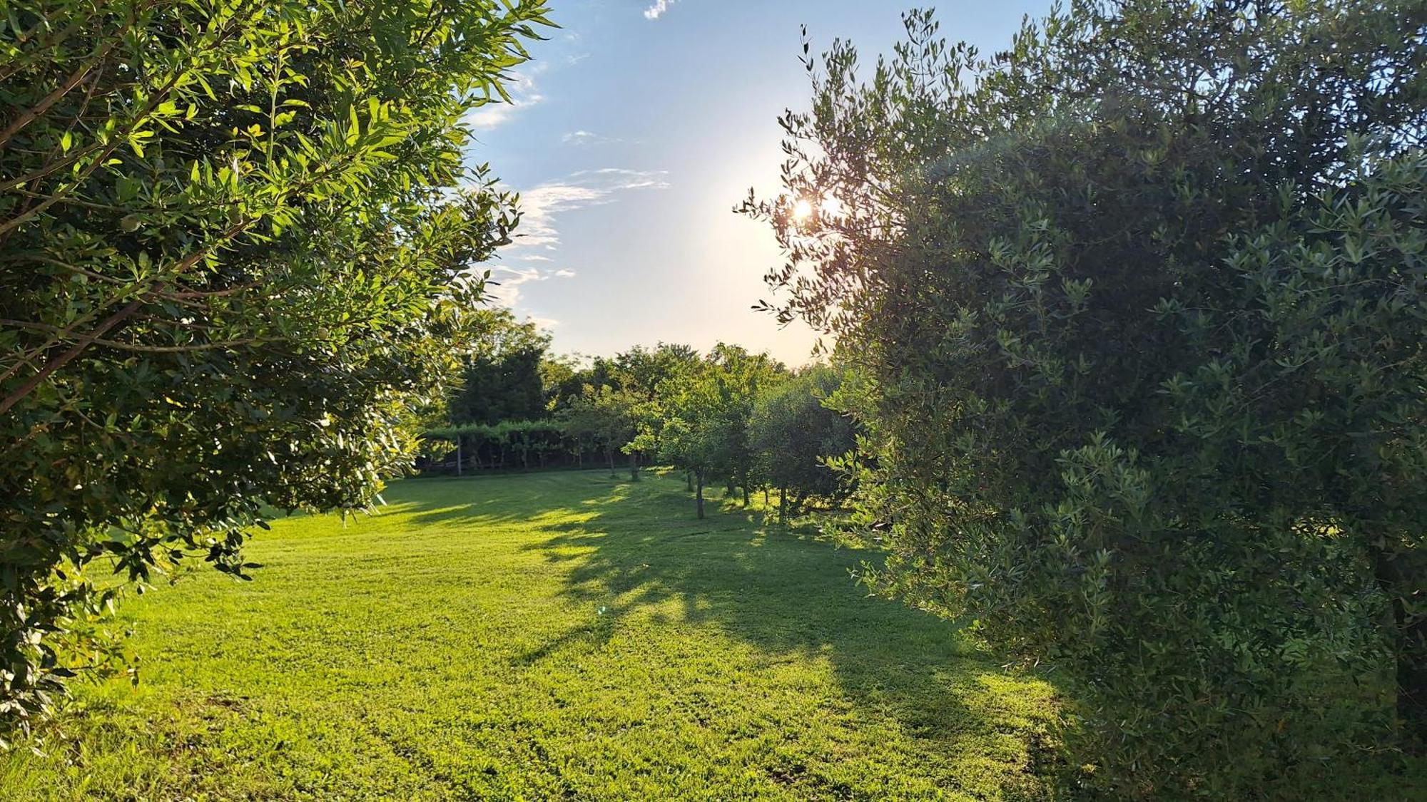 Apartman Doli Nedeščina Bagian luar foto